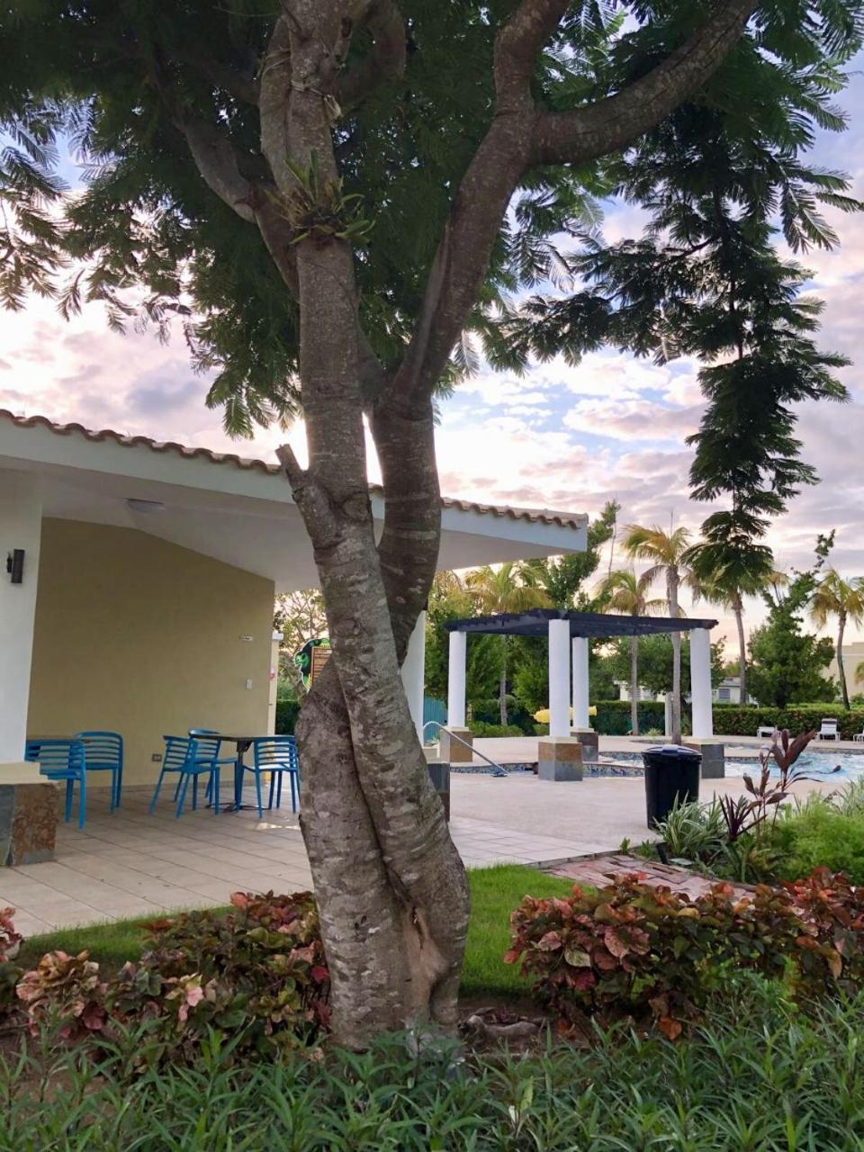 Aquatika Paraiso Tropical Loiza Extérieur photo
